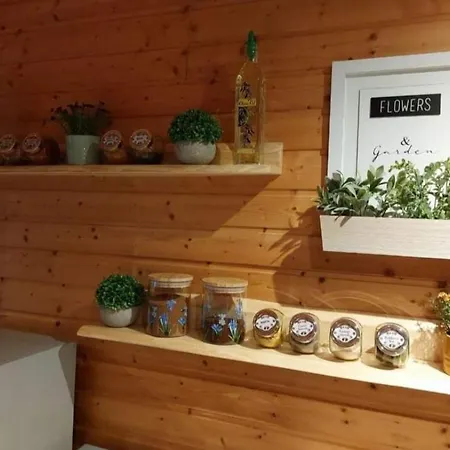 Alexandra Horská chata Litmanová